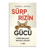 Sürprizin Gücü