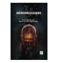 Nöromuhasebe