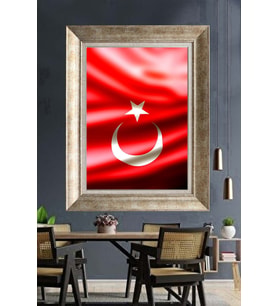 GÜMÜŞ ÇERÇEVELİ PASPARTULU TABLO V104