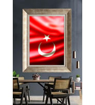 GÜMÜŞ ÇERÇEVELİ PASPARTULU TABLO V104