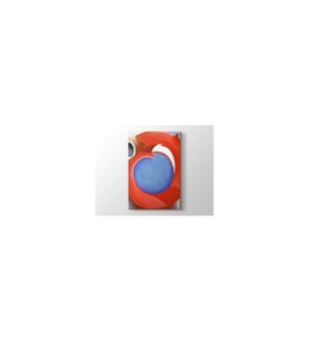 Georgia Okeeffe - Goats Horn With Red Tablo 70 X 70 Cm