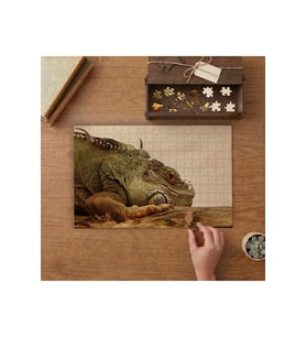 Dinlenen Dev İguana Tasarımı 240 parça Ahşap Puzzle Ahşap Kutuda MP05243