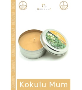 #Mum Dekoratif Hediyelik Şık Modern Tasarım Metal Kutu Kokulu Mum Oda Kokusu 120G Teneke Kutu