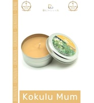 #Mum Dekoratif Hediyelik Şık Modern Tasarım Metal Kutu Kokulu Mum Oda Kokusu 120G Teneke Kutu