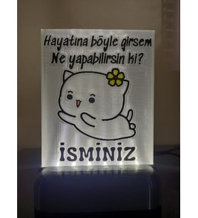 Kişiye Özel İsimli Hediyelik Kablolu Led Lamba - M14 - Hayatına böyle girsem (Beyaz)