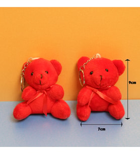 Peluş Ayıcık Anahtarlık 2 adet