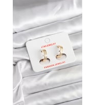 14K Gold Renk Kaplama CM Kadın Küpe - TJ-BKP11405