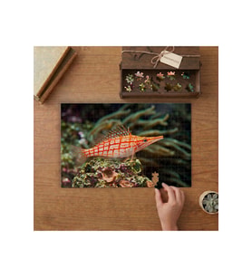 Su Altında Kırmızı Balık Tasarımı 240 parça Ahşap Puzzle Ahşap Kutuda MP00457
