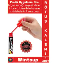 #RötuşKalemi Parlak Boya Koruyucu Profesyonel Hızlı Kuruyan Kırmızı Araç Çizik Giderici Rötuş Kalemi