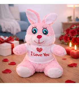 I Love You Tişörtlü Sevimli Pembe Peluş Tşan