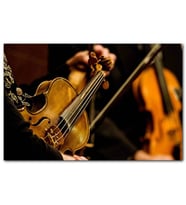 Cakatablo Keman Kültür Aletleri 2016 Müzik MDF Tablo