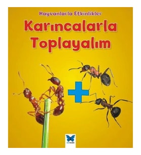 Hayvanlarla Etkinlikler - Karıncalarla Toplayalım