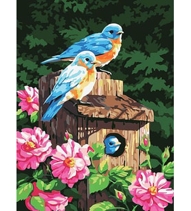 Kuş Yuvası 2 Sayılarla Boyama Seti 40x50 cm (Tuvale Gerili) - Womb Hobby