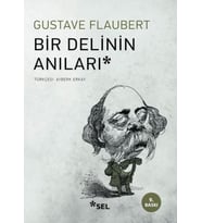 Bir Delinin Anıları