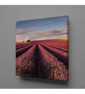 PEMBE ÇİÇEK TARLASI KANVAS TABLO 200x200cm