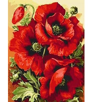 Gelincik 2 Sayılarla Boyama Seti 40x 50 cm (Tuvale Gerili)