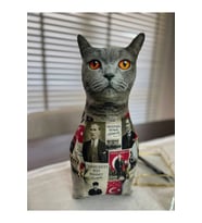 Ata kedi yastık