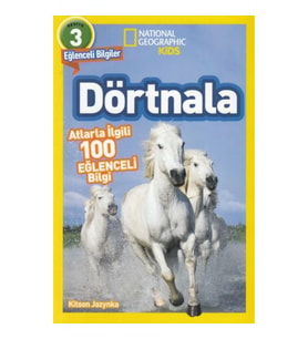 Dörtnala - Atlarla İlgili 10 Eğlenceli Bilgi - 3 Seviye