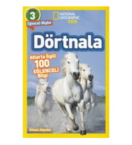 Dörtnala - Atlarla İlgili 10 Eğlenceli Bilgi - 3 Seviye
