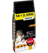 Pro Plan Medium Adult Tavuklu Yetişkin Köpek Maması 16.5 Kg