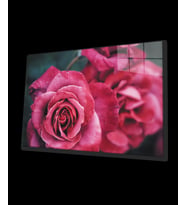 Rose 1 Cam Tablo