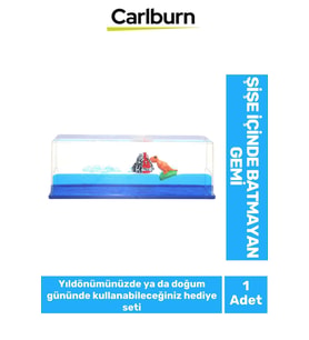Özel Tasarım Aşk Batmayan Gemi Yıl Dönümü Kız Arkadaş Doğum Günü Hediye Sevgiliye Akvaryum 17*6 Cm (Çok Renkli)