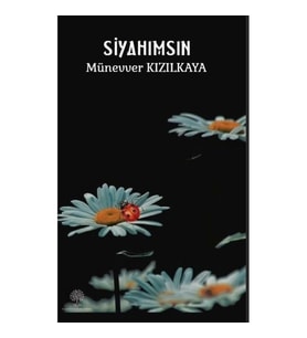 Siyahımsın