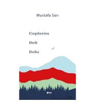 Ceplerim Deli Dolu