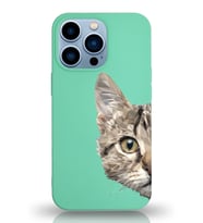 Apple iPhone 13 Pro Uyumlu Lansman Kılıf Catface Tasarımlı Altı Kapalı İçi Kadife Kaplı  Kapak (Şeffaf)