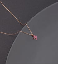 925 Ayar Gümüş Pembe Taşlı Martı Kolye
