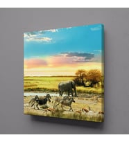 FİL VE ZEBRALAR KANVAS TABLO 120x120cm (Karışık)