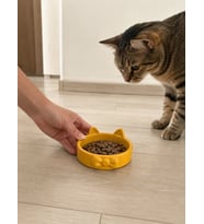 Papyon Model Beton Kedi Köpek Mama ve Su Kabı 16 cm çap - Bronz