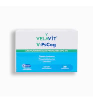 Velavit V-PsCog Takviye Edici Gıda 30 Kapsül