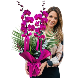 Özel Tasarım Çift Dallı Mor Orkide Fenix ve Okaliptus Yapraklı Phalaenopsis