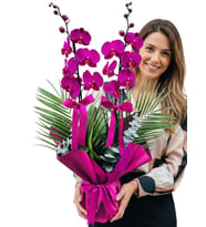 Özel Tasarım Çift Dallı Mor Orkide Fenix ve Okaliptus Yapraklı Phalaenopsis