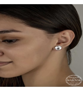 S-warovski Crystal Taşlı Gümüş Çivili Kadın Küpe