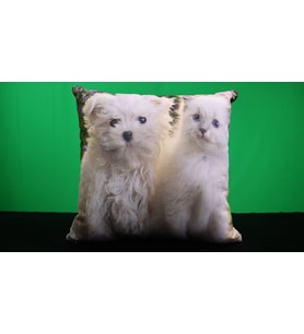 45*45 Kedi Köpek Figürlü Kırlent 