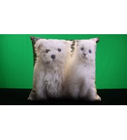 45*45 Kedi Köpek Figürlü Kırlent 
