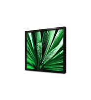 Makro Çekim Yaprak Çerçeveli Mdf Tablo