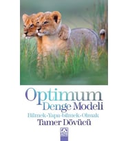 Optimum Denge Modeli