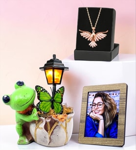 Fotoğraflı Kurbağa Tasarımlı Masa Lambası ve Zümrüdü Anka Kuşu Kolye Hediye Seti