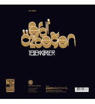 Ferdi Özbeğen Teşekkürler - Plak (Standart)