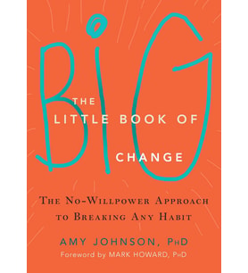 The Little Book Of Big Change: The No-Willpower Approach To Breaking Any Habit