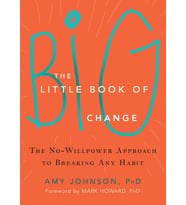 The Little Book Of Big Change: The No-Willpower Approach To Breaking Any Habit