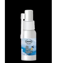 ERSAĞ AĞIZ SPREYİ PROPOLİSLİ 30 ML