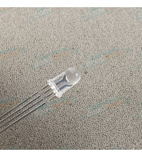 5mm RGB LED (Ortak Katot)