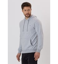 Erkek Gri Kapüşonlu Nakış Detaylı Sweatshirt