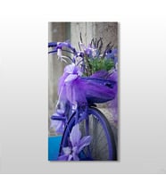 Mor Bisiklet Kanvas Tablo 90x135cm (Karışık)