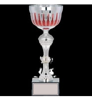 ODAK KUPA - Large Kupalar - L-039 C - 32 cm