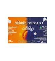 Haver Sitikolin Omega 3 Allday 60 Yumuşak Kapsül